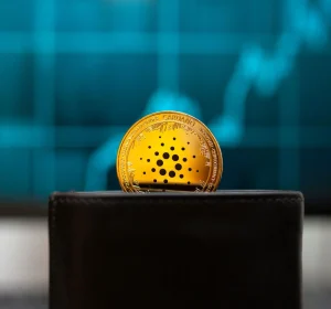 Cardano Large Wallets Hold 67% of ADA Supply