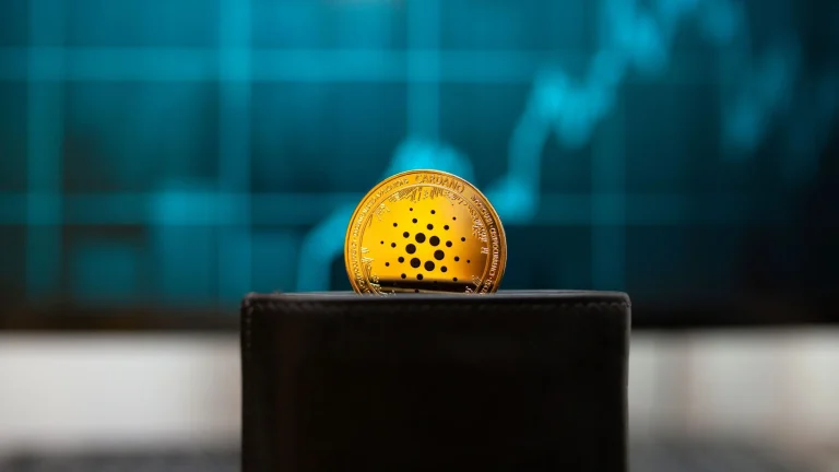 Cardano Large Wallets Hold 67% of ADA Supply