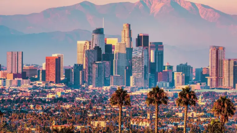 California Bans Public Officials From Issuing Meme Coins
