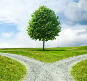 Road splitting into two paths representing a Bitcoin blockchain fork