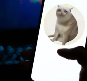 CASHCAT Doubles in a Week as Robinhood Chain’s Locked Value Tops $774 Million
