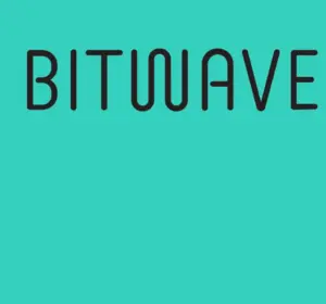 Bitwave CEO Says AI Software Shift Could Begin Within Two Years