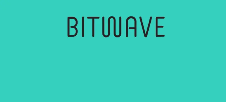 Bitwave CEO Says AI Software Shift Could Begin Within Two Years
